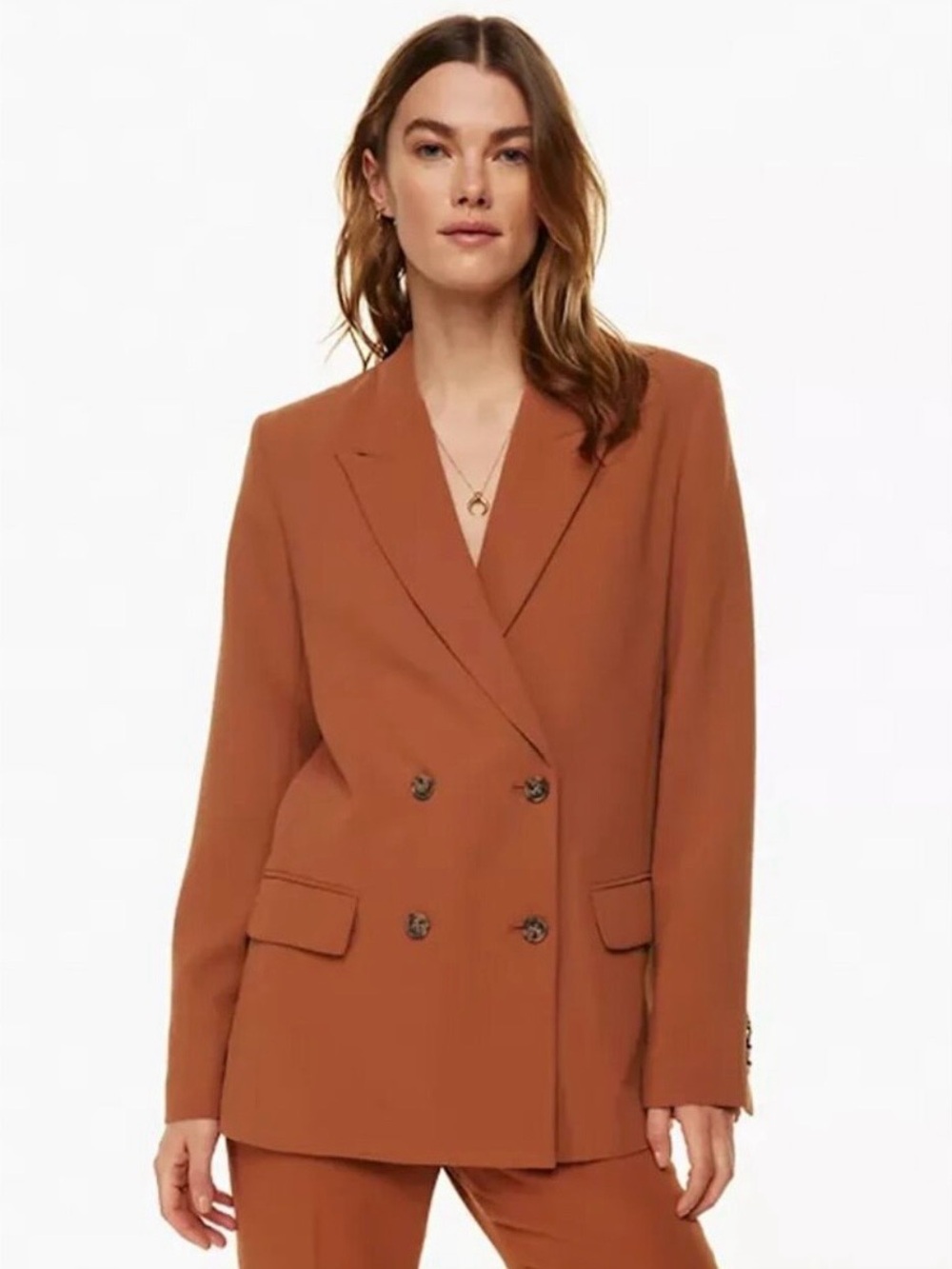 Wilfred Aritzia Destiny Double Breasted Blazer Anise Brown Business Chic luxury